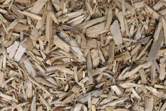 biomass boilers Triffleton