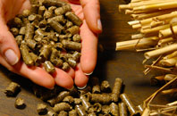 free Triffleton biomass boiler quotes
